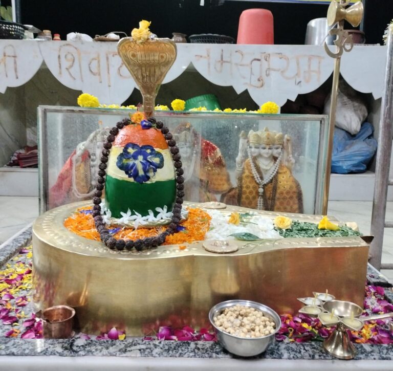 तिरंगे में समाये योगेश्वर महादेव